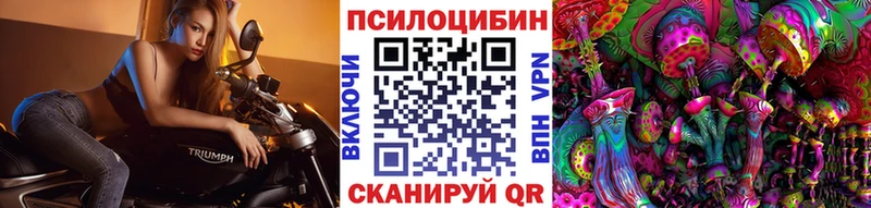 Псилоцибиновые грибы Magic Shrooms  Купить закладки  Белово 